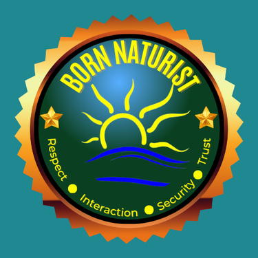 BornNaturist logo