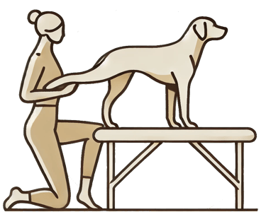 Ostéopathe pour chien logo