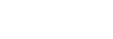 ZAIRE logo