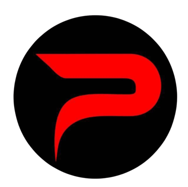 Pelais Peças e Serviços logo