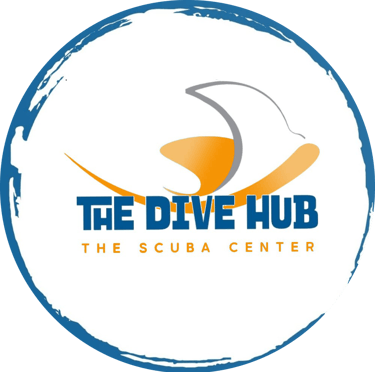 The Dive Hub logo