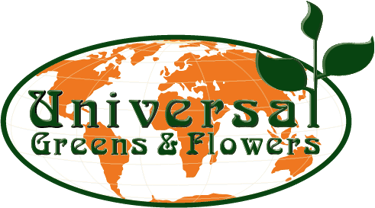 Emerald palm logo