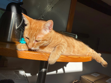 l’Univers des mots logo