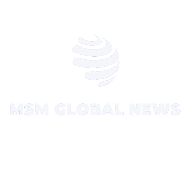 MSM NEWS logo