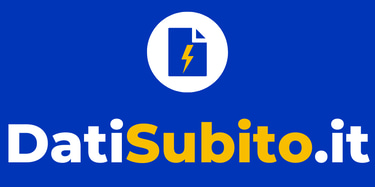 DatiSubito.it logo