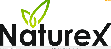 naturex logo