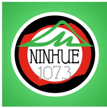 RADIO NINHUE 107.3 FM logo