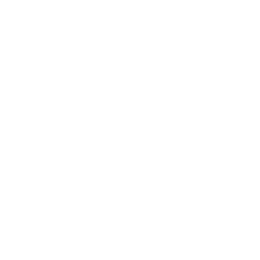 LYDIE JEAN logo