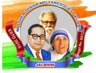 Mother Teresa Welfare Society logo