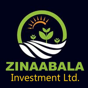 Zinaabala Investments logo
