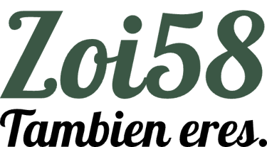 Zoi58 logo