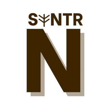 North Syntr logo