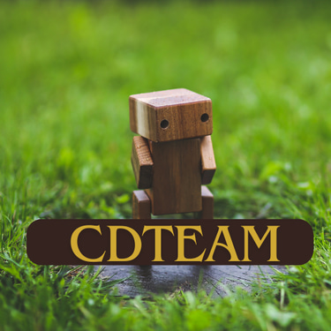 CDTeam logo