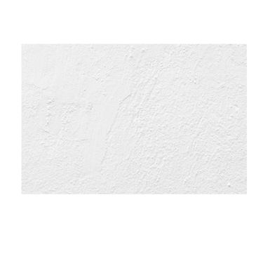 Romain Vesin Réalisateur logo