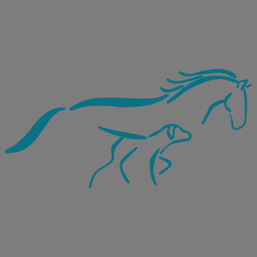 Tierärztliche Praxis für Chiropraktik - Sylva Heise logo