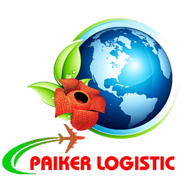 Paiker Logistic logo