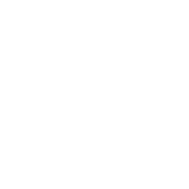 Gin 109 Trasversale logo