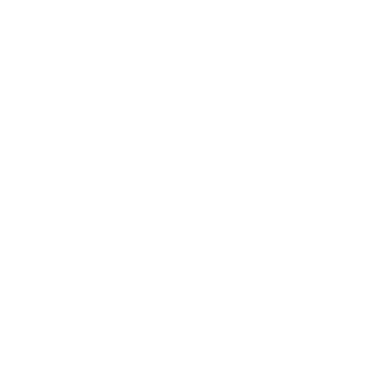 Biz Consult Pi logo