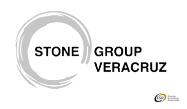 STONE GROUP VERACRUZ logo