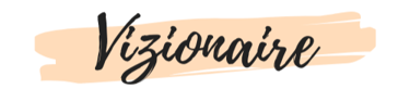 vizionnaire logo