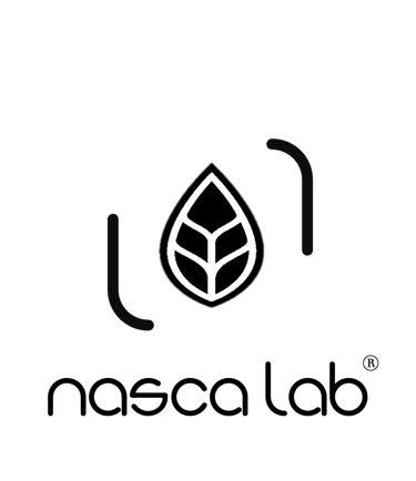 Nasca Lab logo