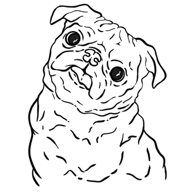The Curious Pet Company logo