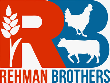 Rehman Brothers logo