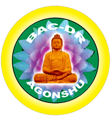 AGONSHU-AFRIQUE logo