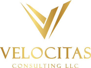 Velocitas Consulting LLC logo