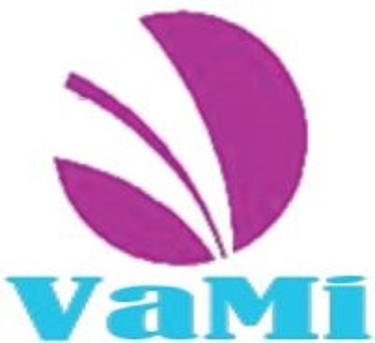 Vami Capital Private Limited logo