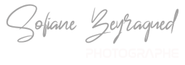 My Wonderful Wedding logo