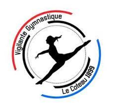 La Vigilante Le Coteau Gym logo