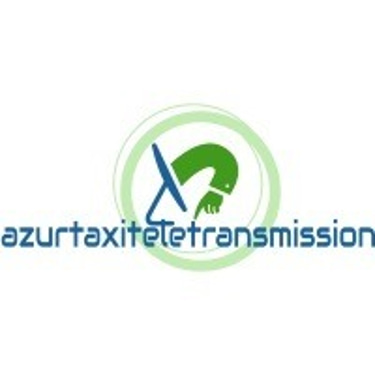 azurtaxiteletransmission logo