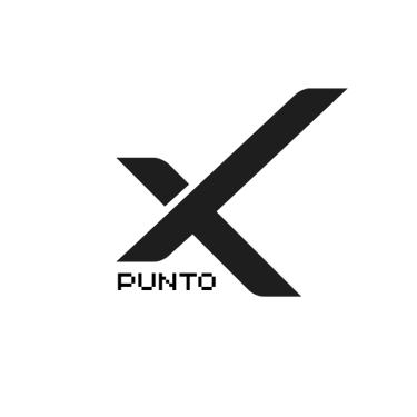 Punto X logo