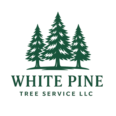 White Pine Tree Service LLC logo