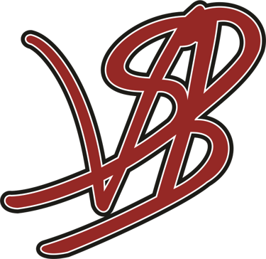 VSB GROUP logo