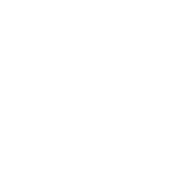 morettis autocollison logo