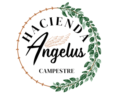 Hacienda Angeluus logo