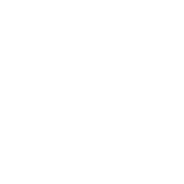 Haiti In Slow Motion logo