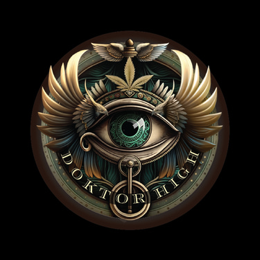 Doktor High logo