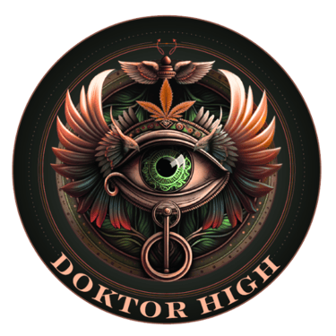 Doktor High logo