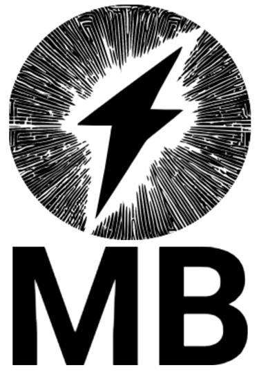 Moein Borghei - High Voltage Expert logo