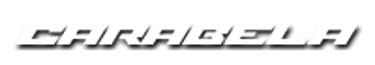 CARABELA MOTOS PACHUCA logo