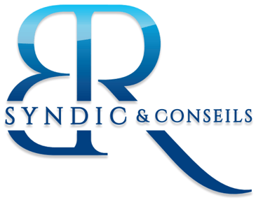 SYNDIC BR & CONSEILS logo
