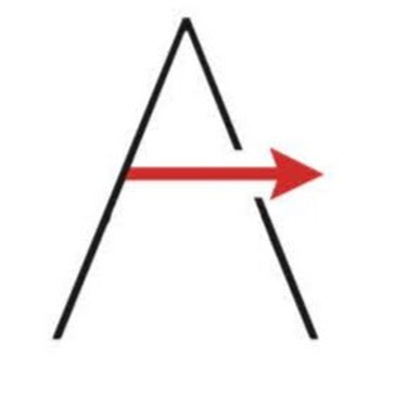 ARROW Movement Academy logo