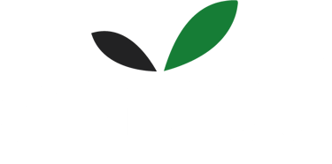 onetreemore.com logo