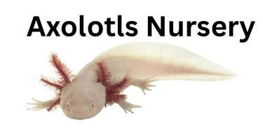 Axolotls Nursery logo