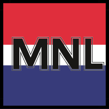 MNL Painters LLC logo