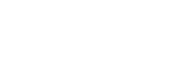 Litigen logo