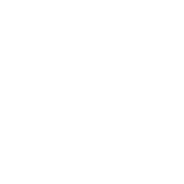 Specialised Paid Ad Services logo
